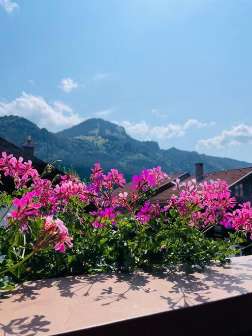 Berge, Wandern, Erholung Pur! Fewo Tinka-Haus Katja Bad Hindelang Eksteriør billede